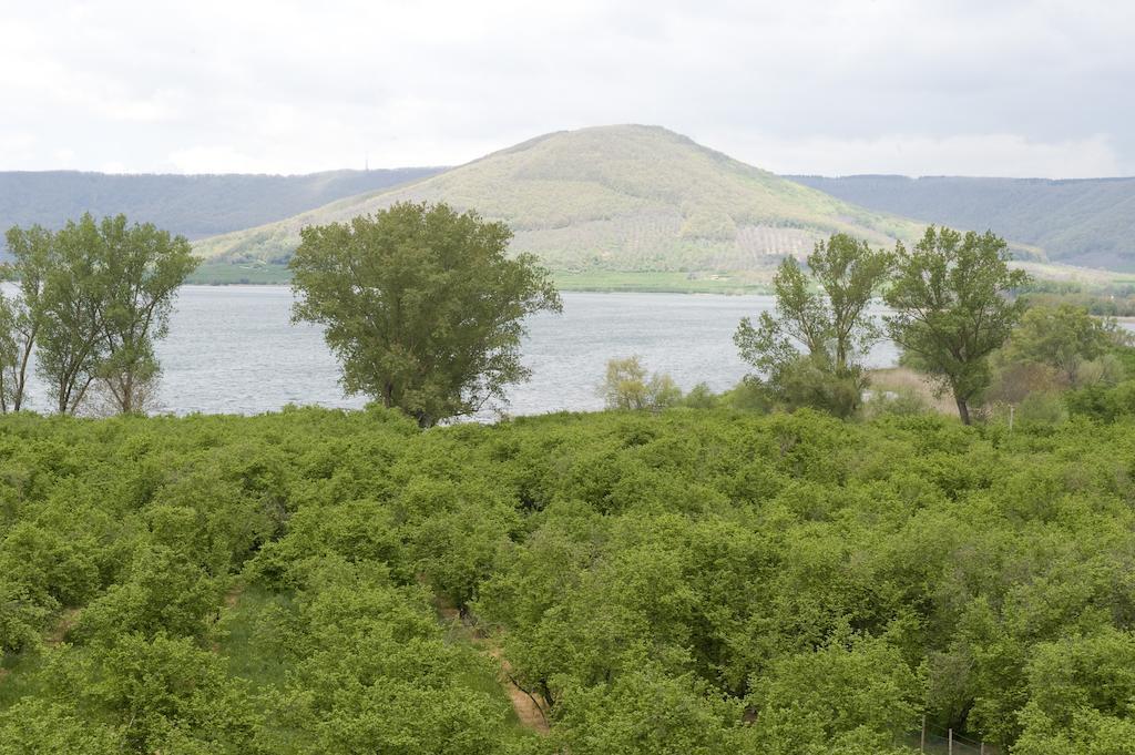 La Finestra Sul Lago Ronciglione  Rum bild