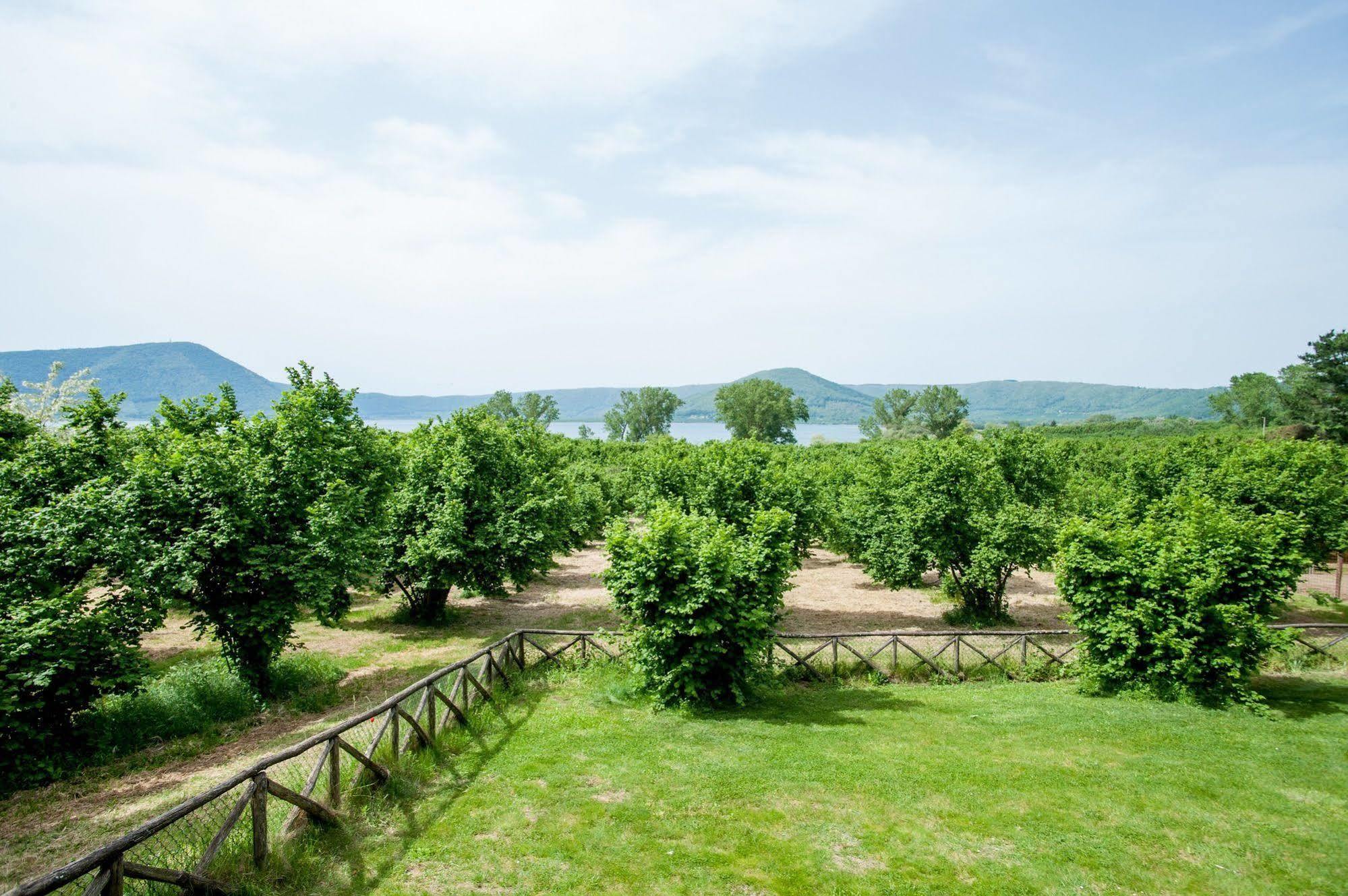 La Finestra Sul Lago Ronciglione  Exteriör bild